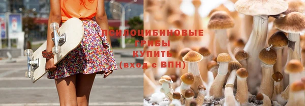 крисы Горнозаводск