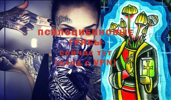 крисы Щучье