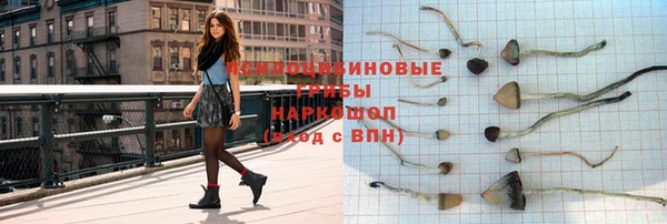 ECSTASY Гусиноозёрск