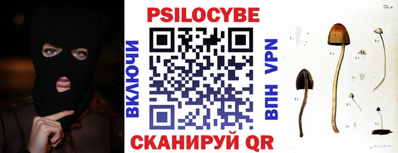 Купить закладки  Киренск  Галлюциногенные грибы Cubensis 